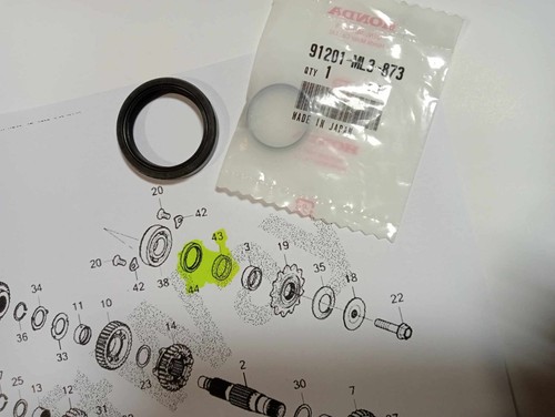 Kit paraolio anello - paraolio,